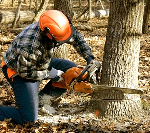 Tree Removal in Simpson, NC
